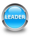 Leader glossy cyan blue round button