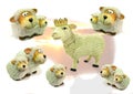 Leader of the pack sheep