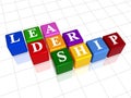 Leadership in colour 2 Royalty Free Stock Photo