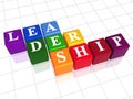 Leadership in colour Royalty Free Stock Photo