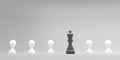 King of chess, standing out from the crowd of pawns.