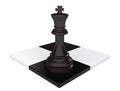 Leadership concept. Chess King.