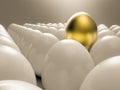 Leadership concept with golden egg Royalty Free Stock Photo