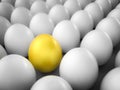 Leadership concept with golden egg Royalty Free Stock Photo