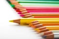 leadership concept with one pencil standing out of crowd of other pencils Royalty Free Stock Photo