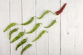 Leadership concept - red hot chili pepper leading the group of green ones Royalty Free Stock Photo