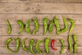 Leadership concept - red hot chili pepper leading the group of green ones Royalty Free Stock Photo