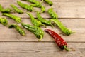Leadership concept - red hot chili pepper leading the group of green ones Royalty Free Stock Photo