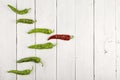 Leadership concept - red hot chili pepper leading the group of green ones Royalty Free Stock Photo