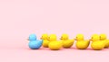 leadership concept rubber ducks Royalty Free Stock Photo