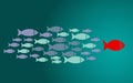 Leadership concept with small fishes group Royalty Free Stock Photo