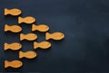 Leadership concept with swimming fish over blackboard background. One leader leads others Royalty Free Stock Photo