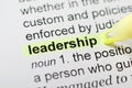 Leadership Royalty Free Stock Photo