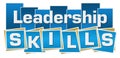 Leadership Skills Blue Squares Stripes