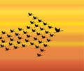 Leadership and Synergy Concept Illustration : A number of Swans flying against a evening sky background