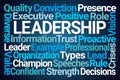 Leadership Word Cloud Royalty Free Stock Photo