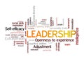 Leadership Word Tag Cloud leader attribute pattern concept Royalty Free Stock Photo