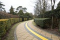 Leading lines of footpath with yellow curve pattern Royalty Free Stock Photo