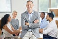 Leading my team to greatness. a senior businessman during a staff meeting. Royalty Free Stock Photo