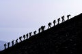 Leading pioneer man guiding the mountaineering team to the event and spectacular mountaineering programs Royalty Free Stock Photo