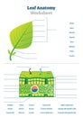 Leaf anatomy worksheet vector illustration. Labeled blank biology closeup. Royalty Free Stock Photo