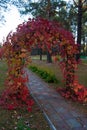 Arch of leaves in the Park Royalty Free Stock Photo