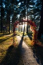 Arch of leaves in the Park Royalty Free Stock Photo