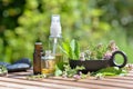 Leaf of aromatic plant and bottles of essential oil in a garden