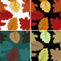 Leaf background. Modern abstract set with red autumn maple leaves seamless on colorful background for decorative design. Vector Royalty Free Stock Photo