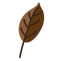 leaf background, simple leaf