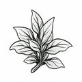 Monochrome Basil Sketch: Flat Vector Graphic With Clean Inking