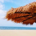 Leaf beach umbrella against blue sky