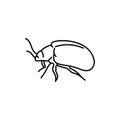 Leaf beetle black line icon.