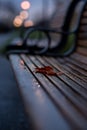 A leaf on a bench on a cold wet Autumn day Royalty Free Stock Photo