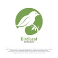 Leaf Bird logotype vector design