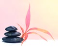 Leaf and black stones. Pink saturation color nature background