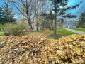 Leaf blowers cleaning up fallen leaves to large pile front yard ready for curbside collection pickup service in Rochester, Upstate Royalty Free Stock Photo