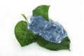 Leaf in blue ice