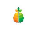 Leaf Brain Logo Icon Design