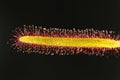 Leaf of a Cape sundew