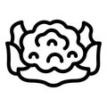 Leaf cauliflower icon outline vector. Cooking leaves