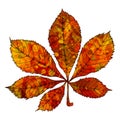 Leaf chestnut