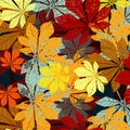 Leaf chestnut pattern - vector silhouette Royalty Free Stock Photo