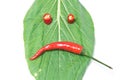 Leaf and chili, scowl Royalty Free Stock Photo