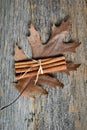 Leaf with Cinnamon Sticks on Wood Background Royalty Free Stock Photo