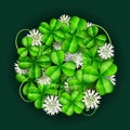 Leaf clover with white flowers, arranged in circle for St. Patrick`s day