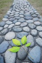 Leaf and cobblestone road Royalty Free Stock Photo