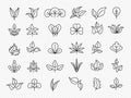 Leaf collection. Linear icons of natural leaf stylized templates recent vector garden symbols Royalty Free Stock Photo