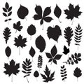 Leaf collection - silhouette