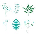 Leaf collection vector